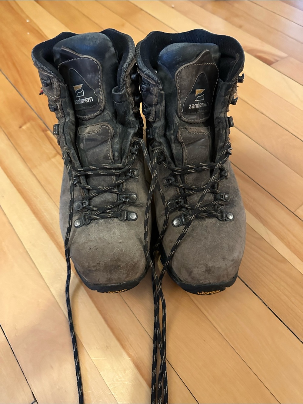 Zamberlan Vioz GT Gore-Tex Backpacking Boots